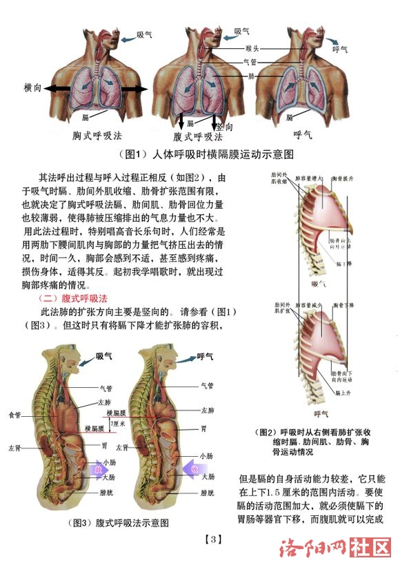 如何学习周小燕教授关于胸腹呼吸法的教学视频