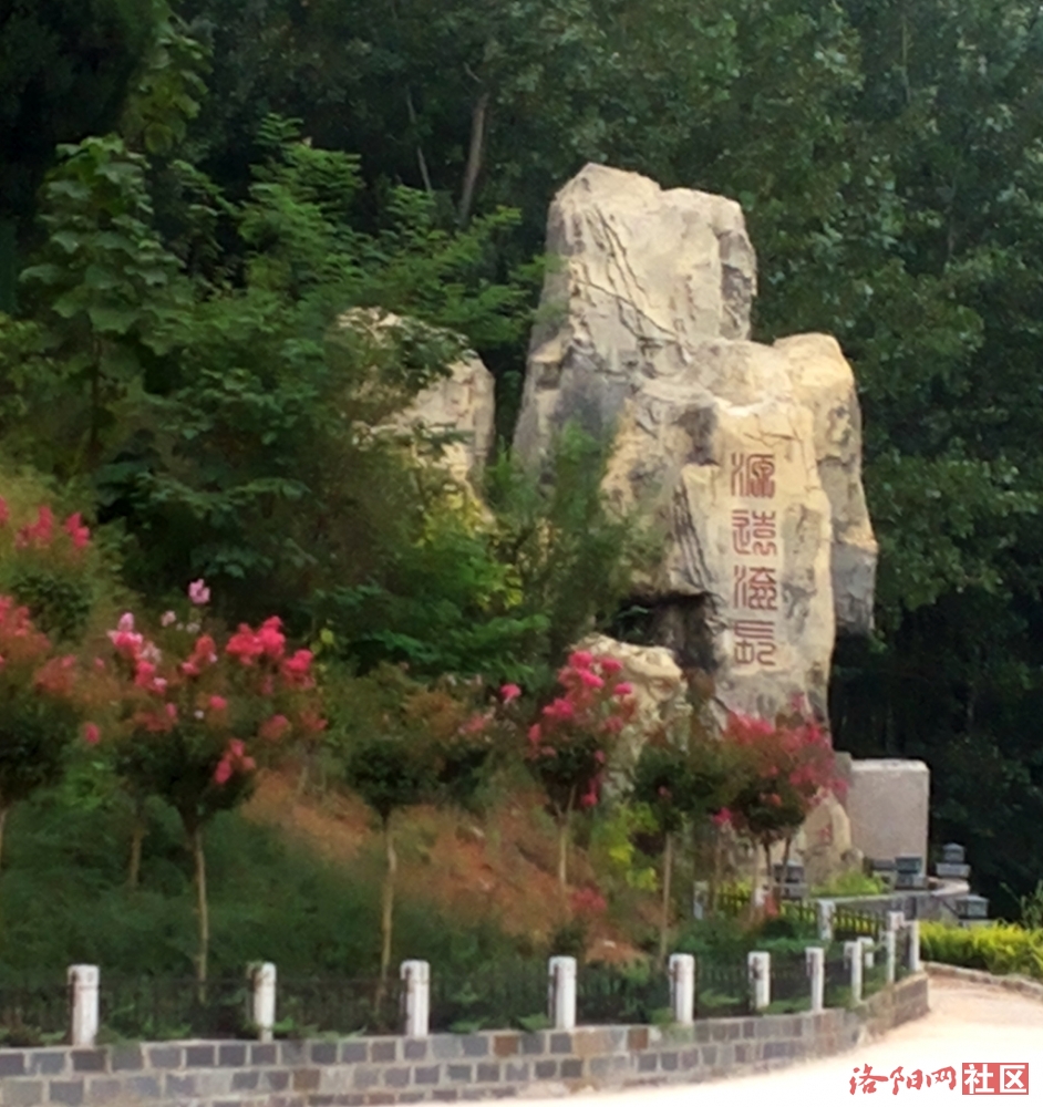 杜康股份之——杜康仙庄