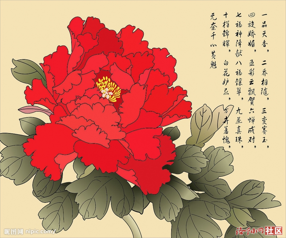 牡丹烹茶论洛阳-梦想之旅.河洛文化论坛第137期