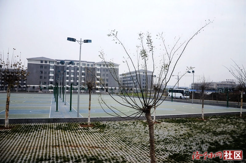 【毛尖视窗】"网友看伊滨"之"洛阳师范学院伊滨校区"