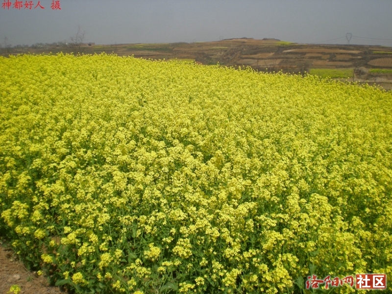 DSCN4358.JPG
