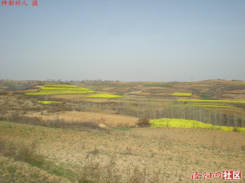 DSCN4360.JPG