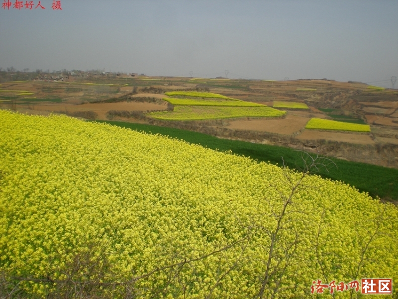 DSCN4362.JPG