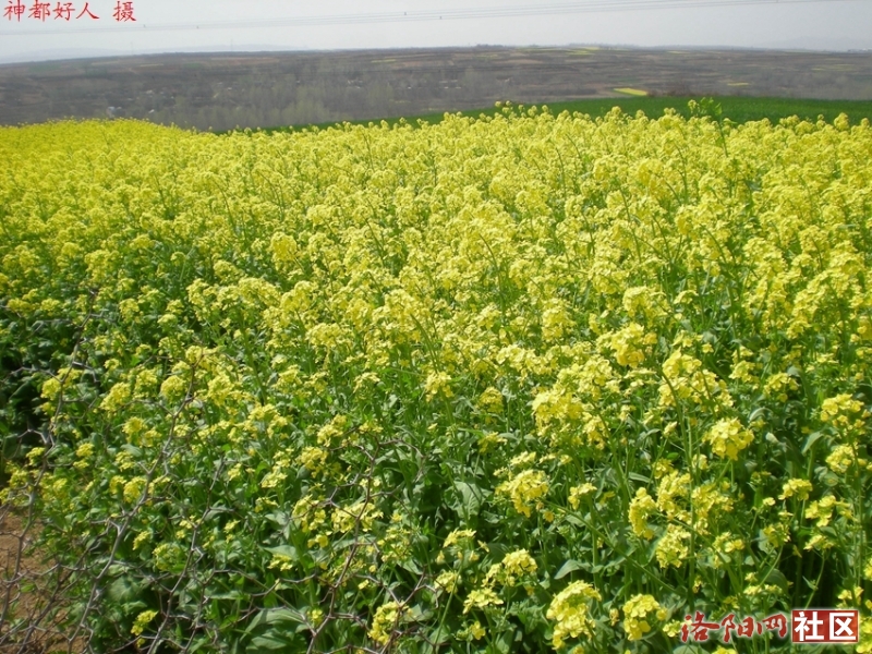 DSCN4364.JPG