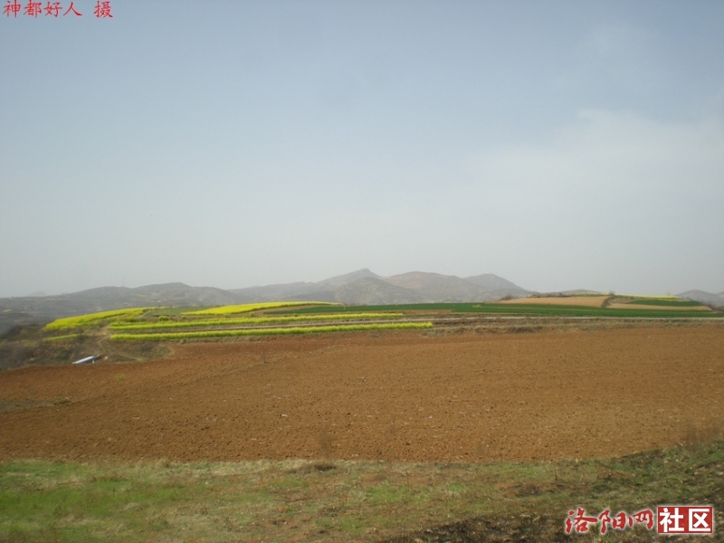 DSCN4365.JPG