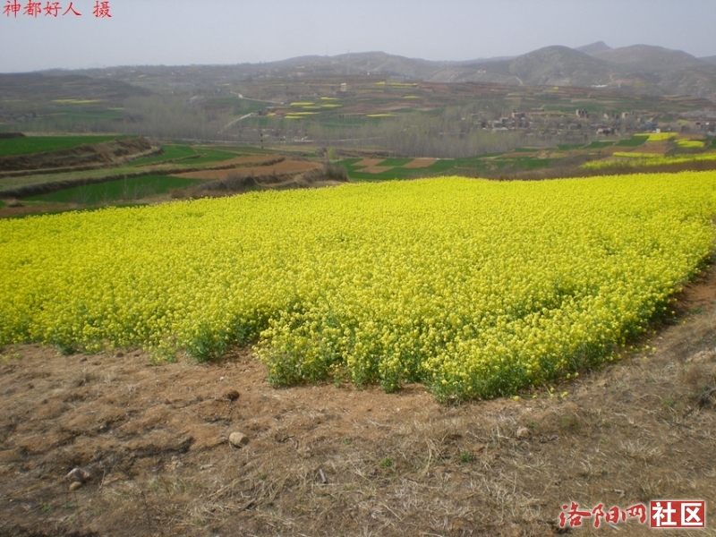 DSCN4366.JPG