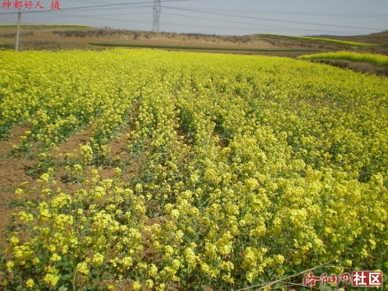 DSCN4367.JPG