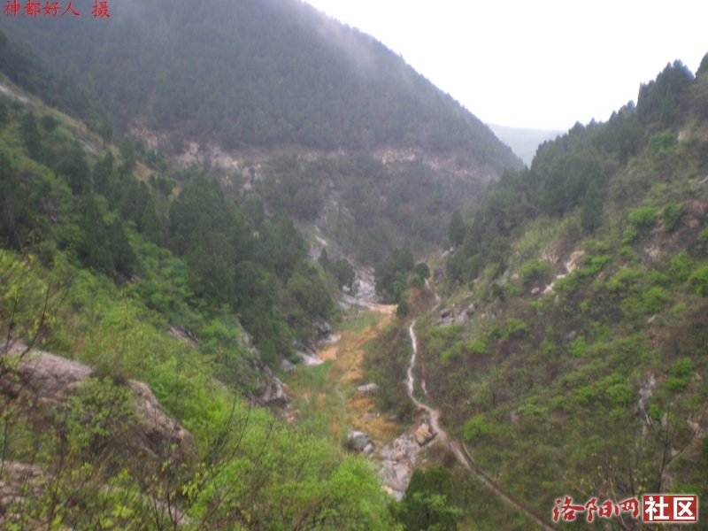 雨中徒步龙潭寺沟割野韭菜宜阳锦屏山好风景