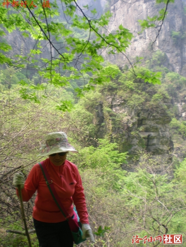 DSCN7185.JPG