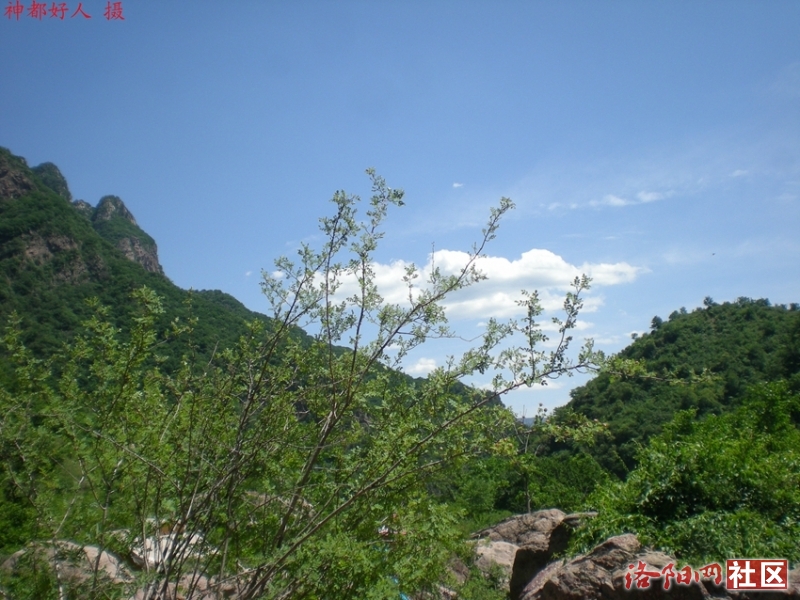 DSCN1231.JPG
