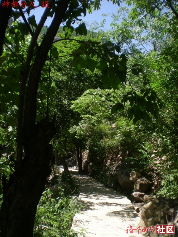 DSCN1232.JPG