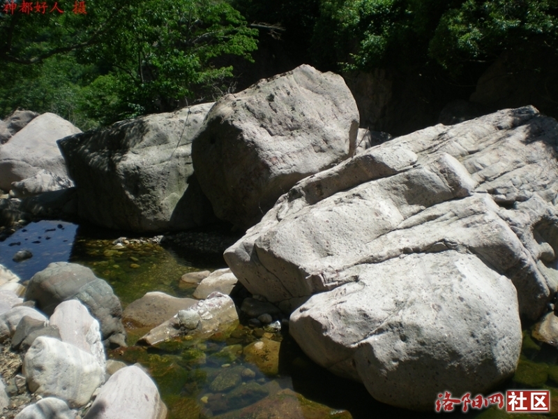 DSCN1237.JPG