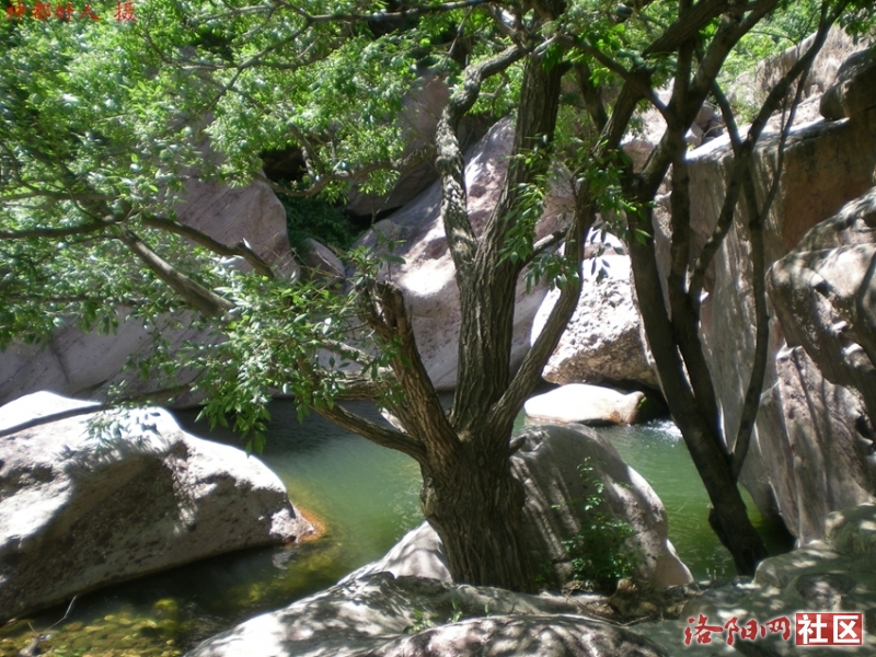 DSCN1238.JPG