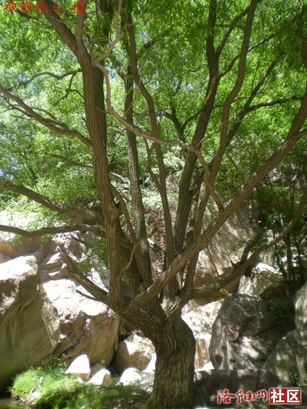 DSCN1252.JPG