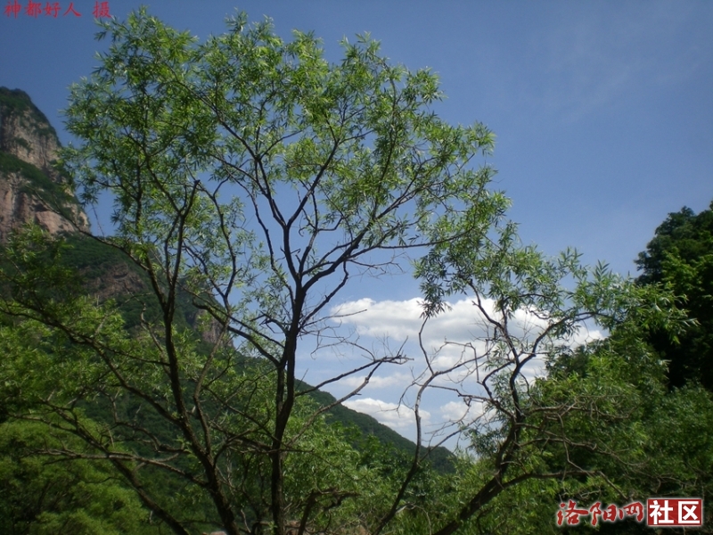 DSCN1254.JPG