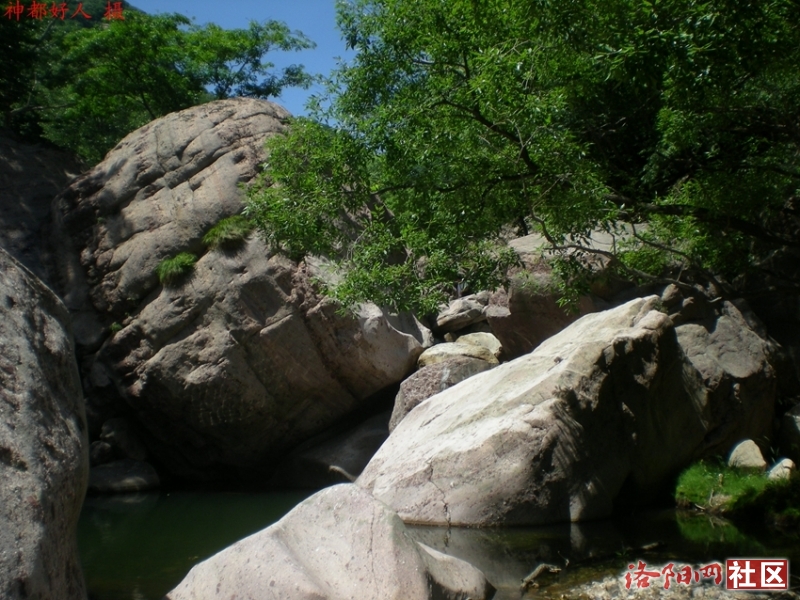 DSCN1255.JPG