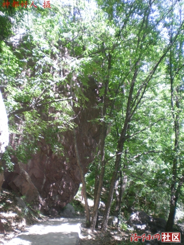 DSCN1258.JPG