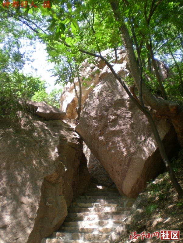DSCN1259.JPG