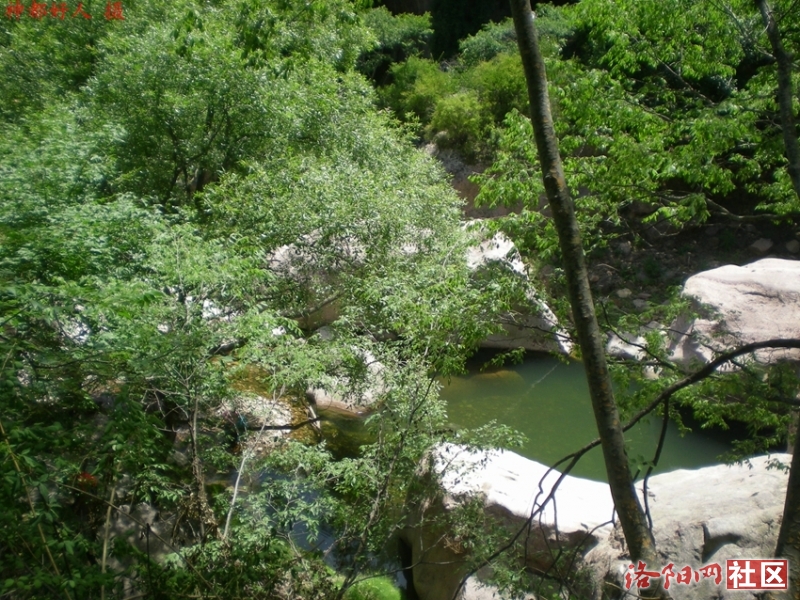 DSCN1271.JPG