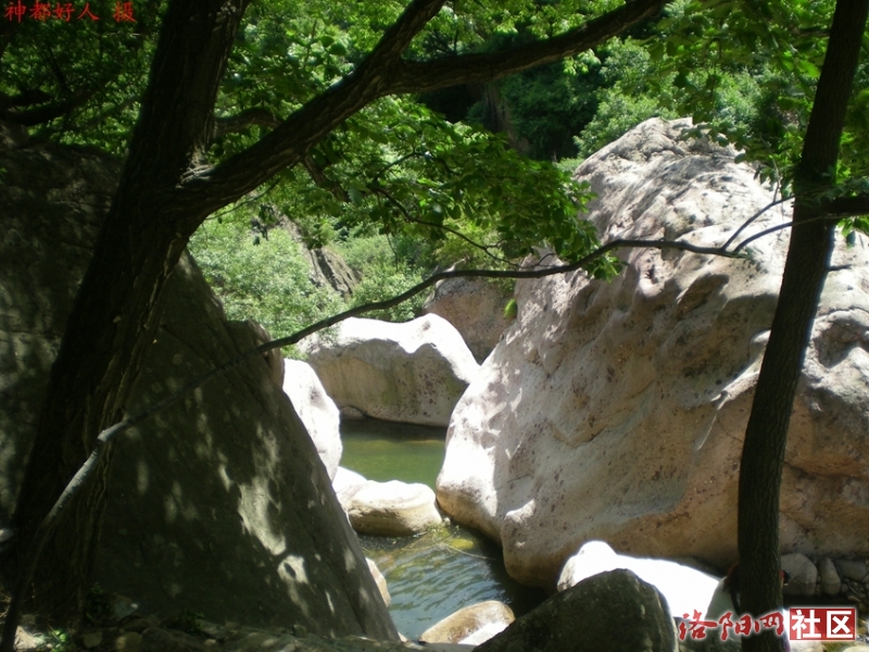 DSCN1273.JPG