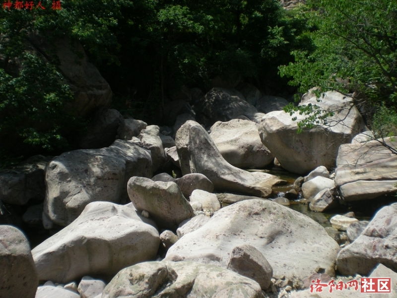 DSCN1274.JPG