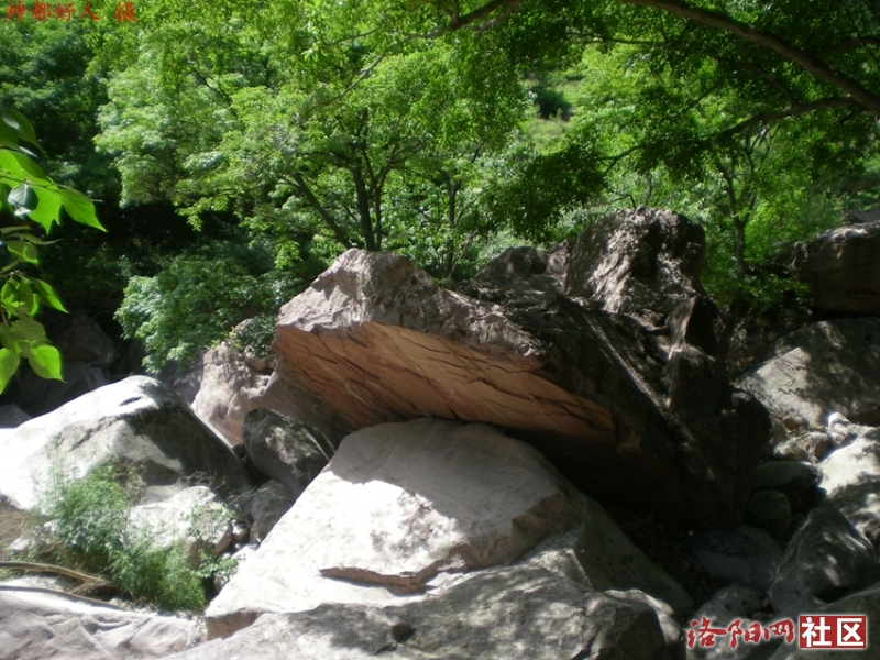 DSCN1275.JPG