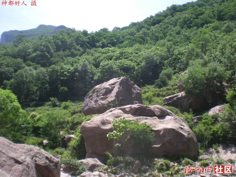 DSCN1292.JPG