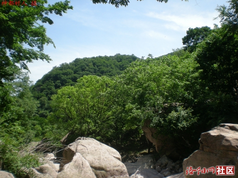 DSCN1298.JPG