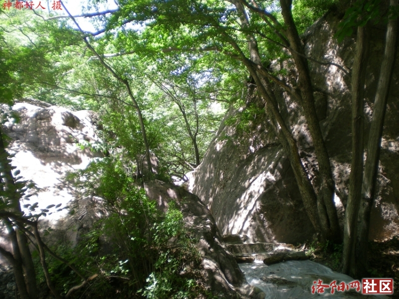 DSCN1318.JPG