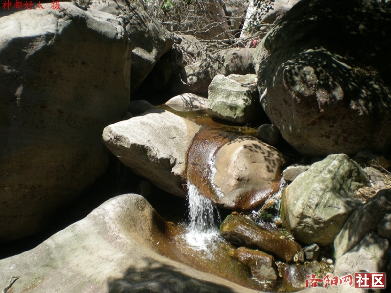 DSCN1323.JPG