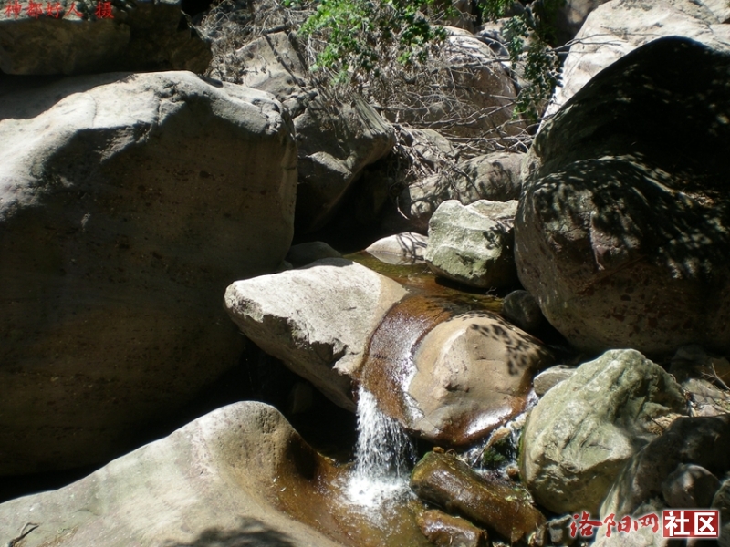 DSCN1328.JPG