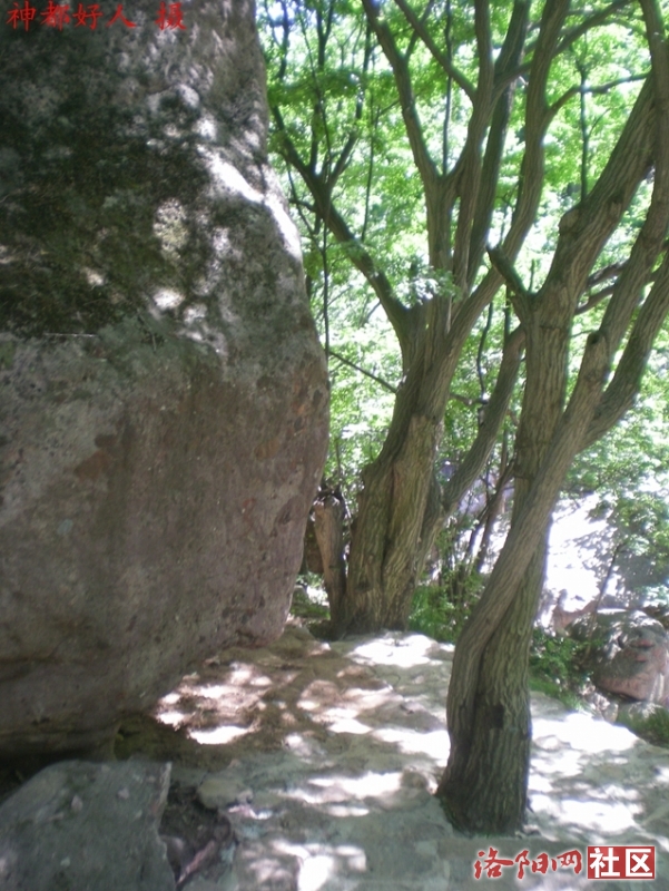 DSCN1333.JPG