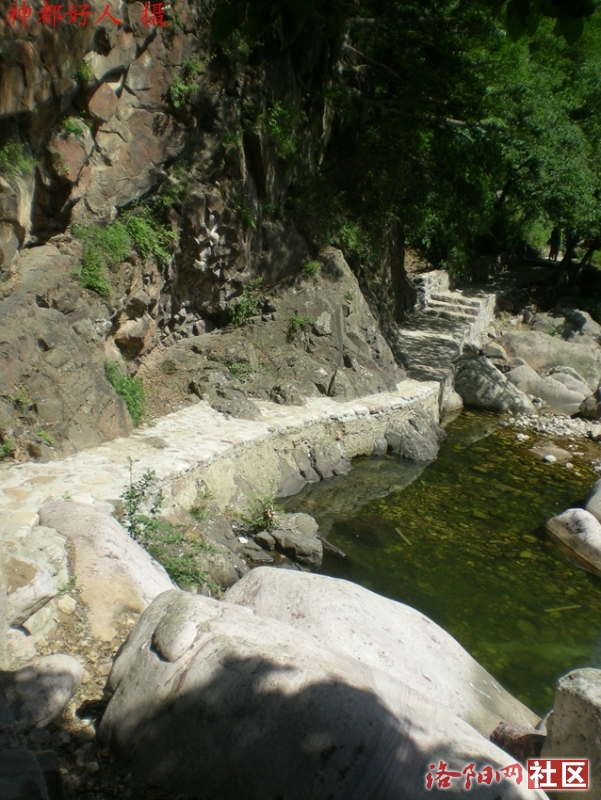 DSCN1335.JPG