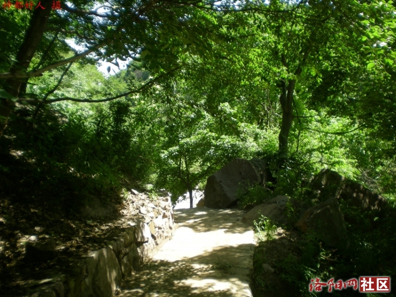 DSCN1336.JPG
