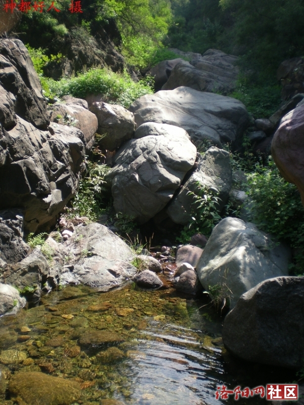DSCN5989.JPG