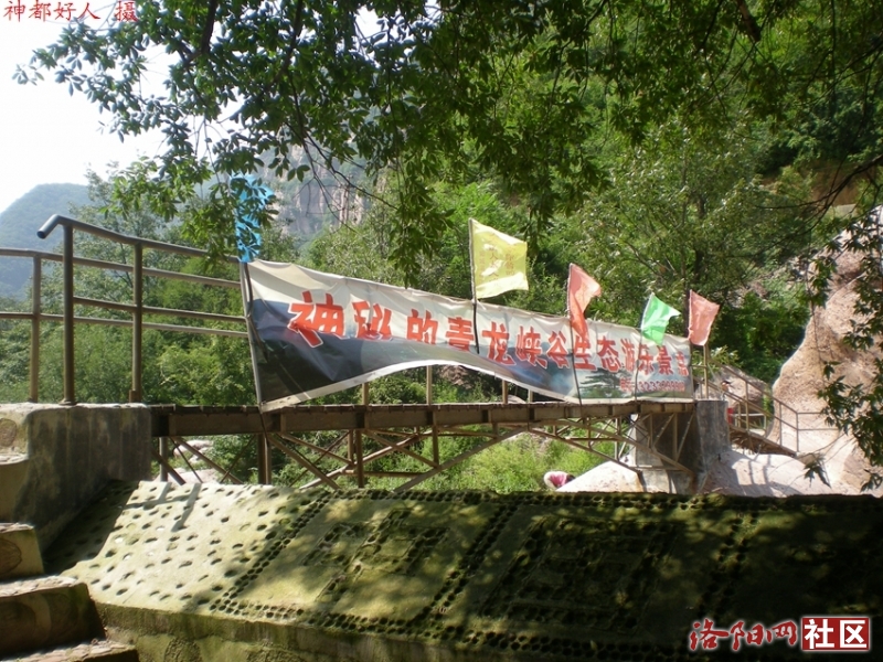 DSCN6008.JPG