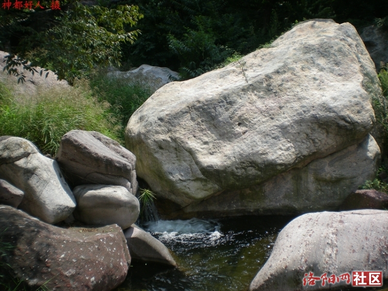 DSCN6012.JPG