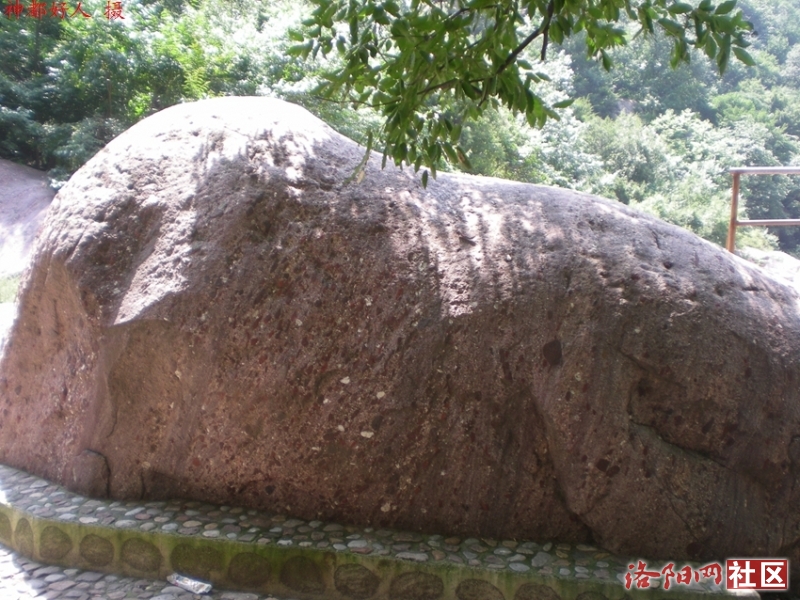 DSCN6014.JPG