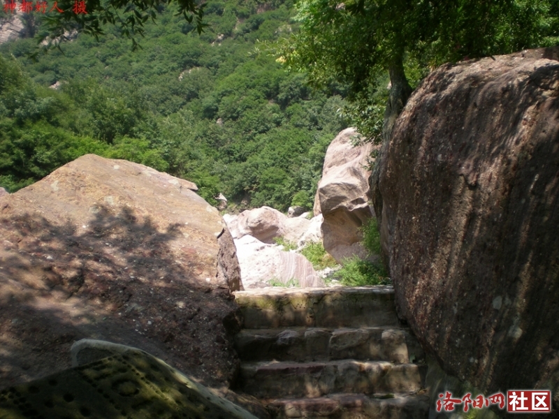 DSCN6015.JPG