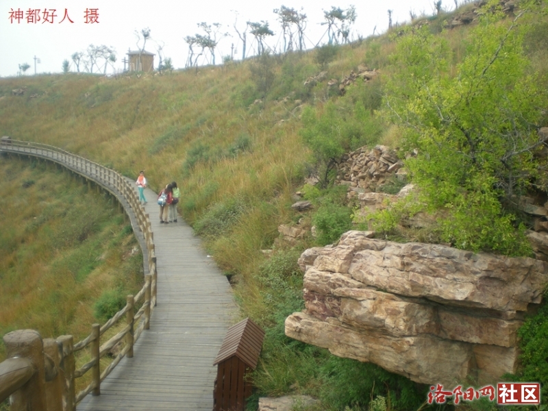 DSCN6502.JPG