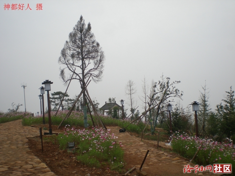 DSCN6517.JPG