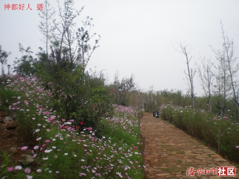 DSCN6519.JPG