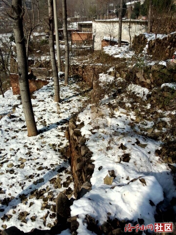新安县有多少人口(3)