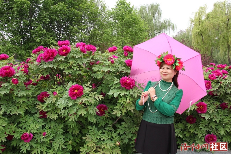 国花园美女赏花
