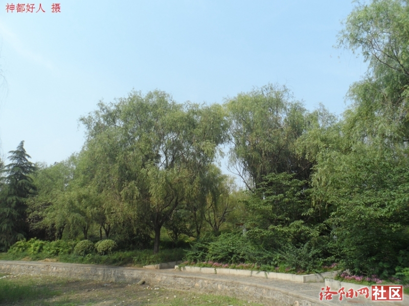 SAM_0670.JPG