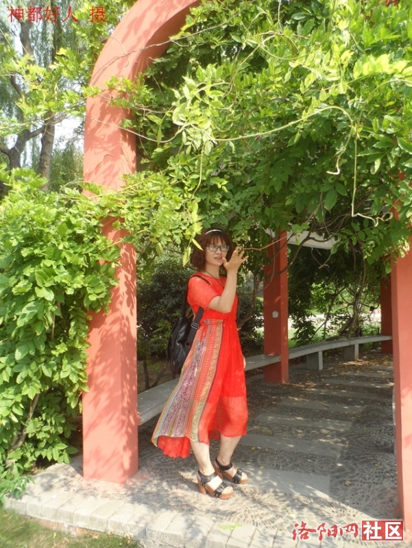 SAM_0690.JPG