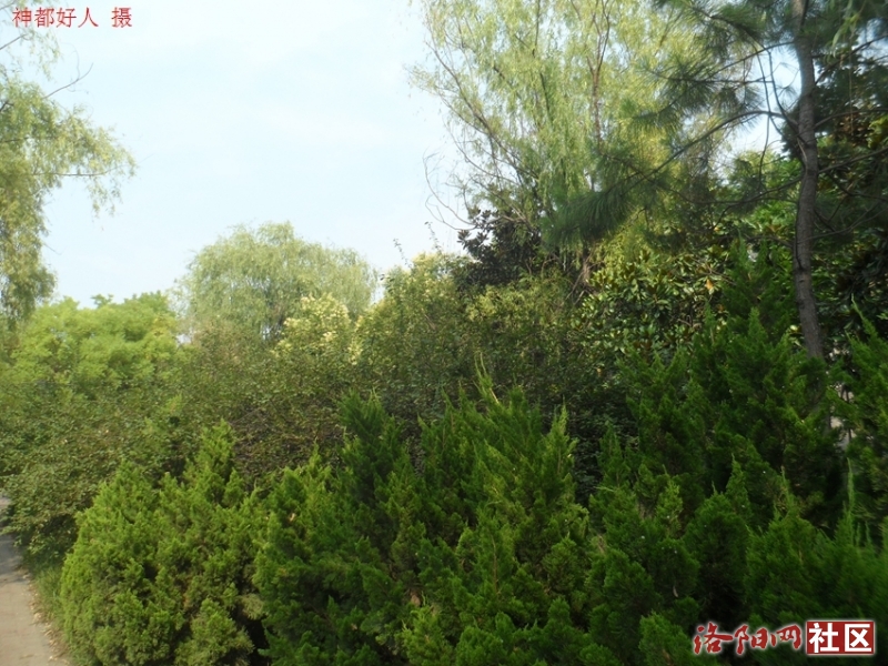 SAM_0704.JPG