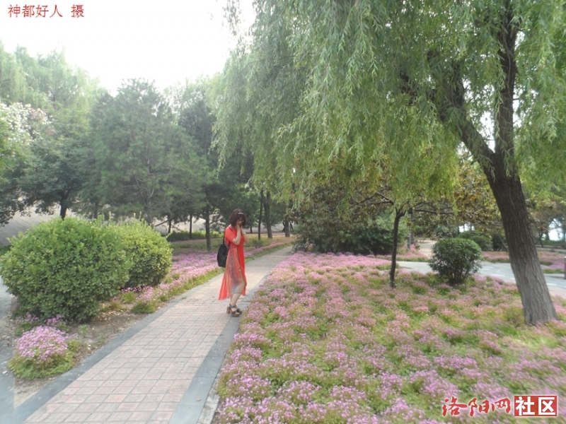 SAM_0706.JPG