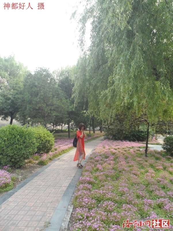 SAM_0707.JPG