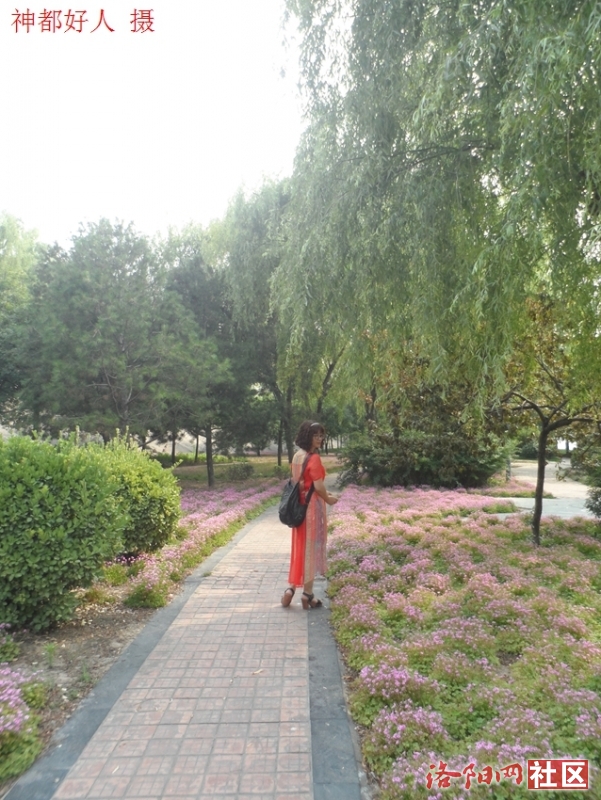 SAM_0708.JPG